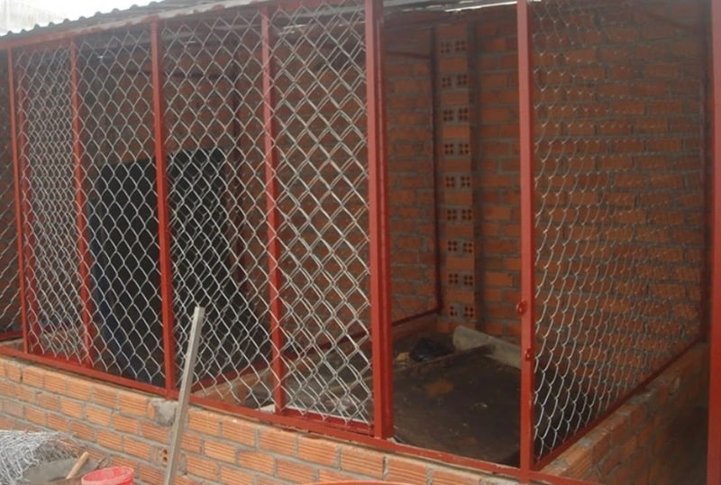 Cách làm chuồng nuôi gà đá rất quan trọng để đảm bảo chiến kê phát triển tốt nhất